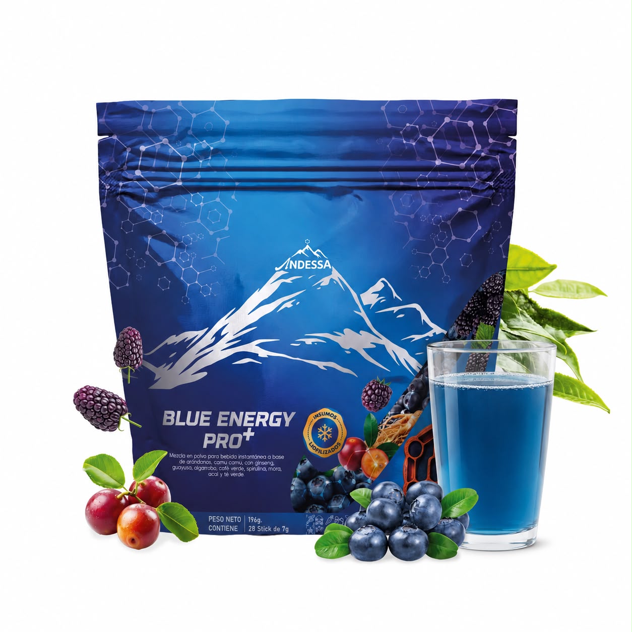 BLUE ENERGY PRO+